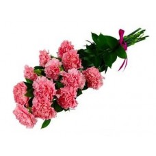  12 pink carnations