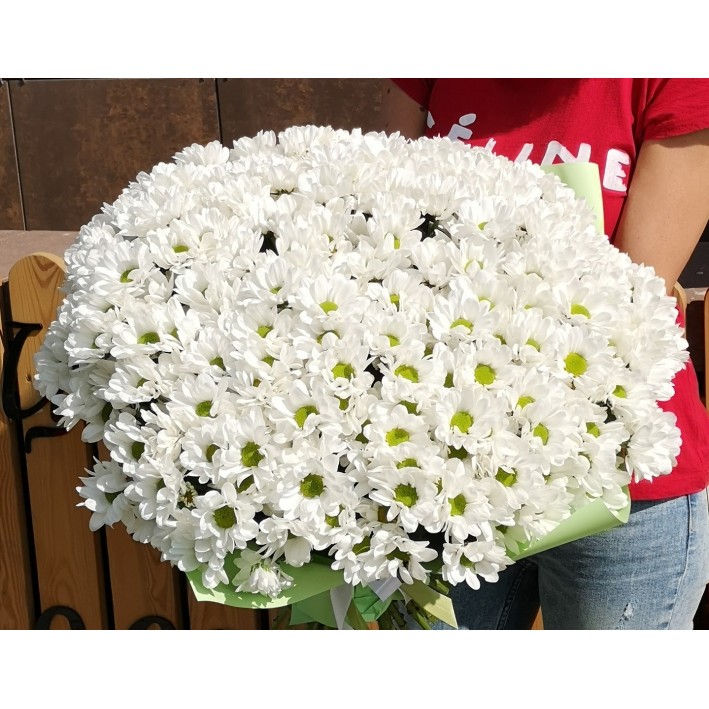  21 white chrysanthemums
