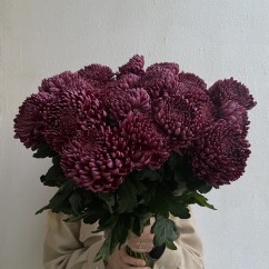 Bouquet "Charm"