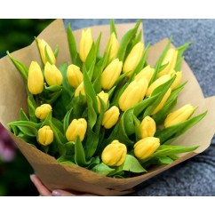 25 yellow tulips in craft