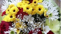 Bouquets of chrysanthemums