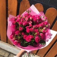 15 pink shrub roses