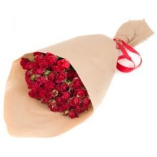 9 red shrub roses in craft paper