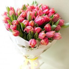 21 red peonu tulips